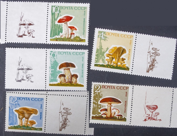 (1964-152-156) Серия Набор марок с купонами (5 шт) СССР     Грибы II O